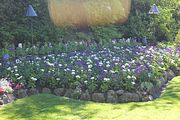 26 - Butchard Gardens  - IMG_1603